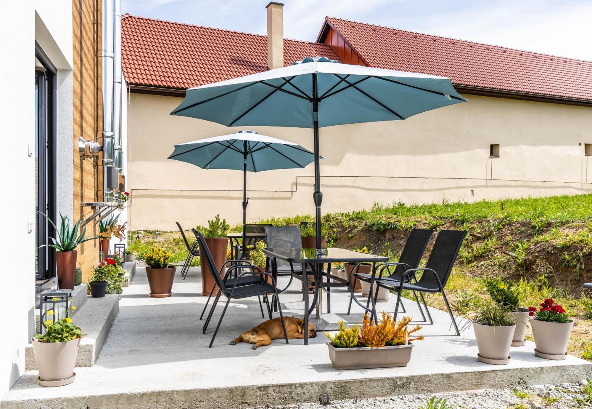 Sunny Apartment With Free Parking Зволен Екстериор снимка